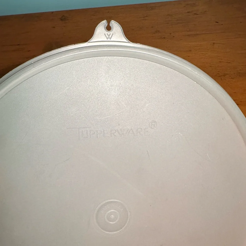 Nostalgic Summertime Picnic Potluck Vintage Tupperware Seafoam Green Jello Mold